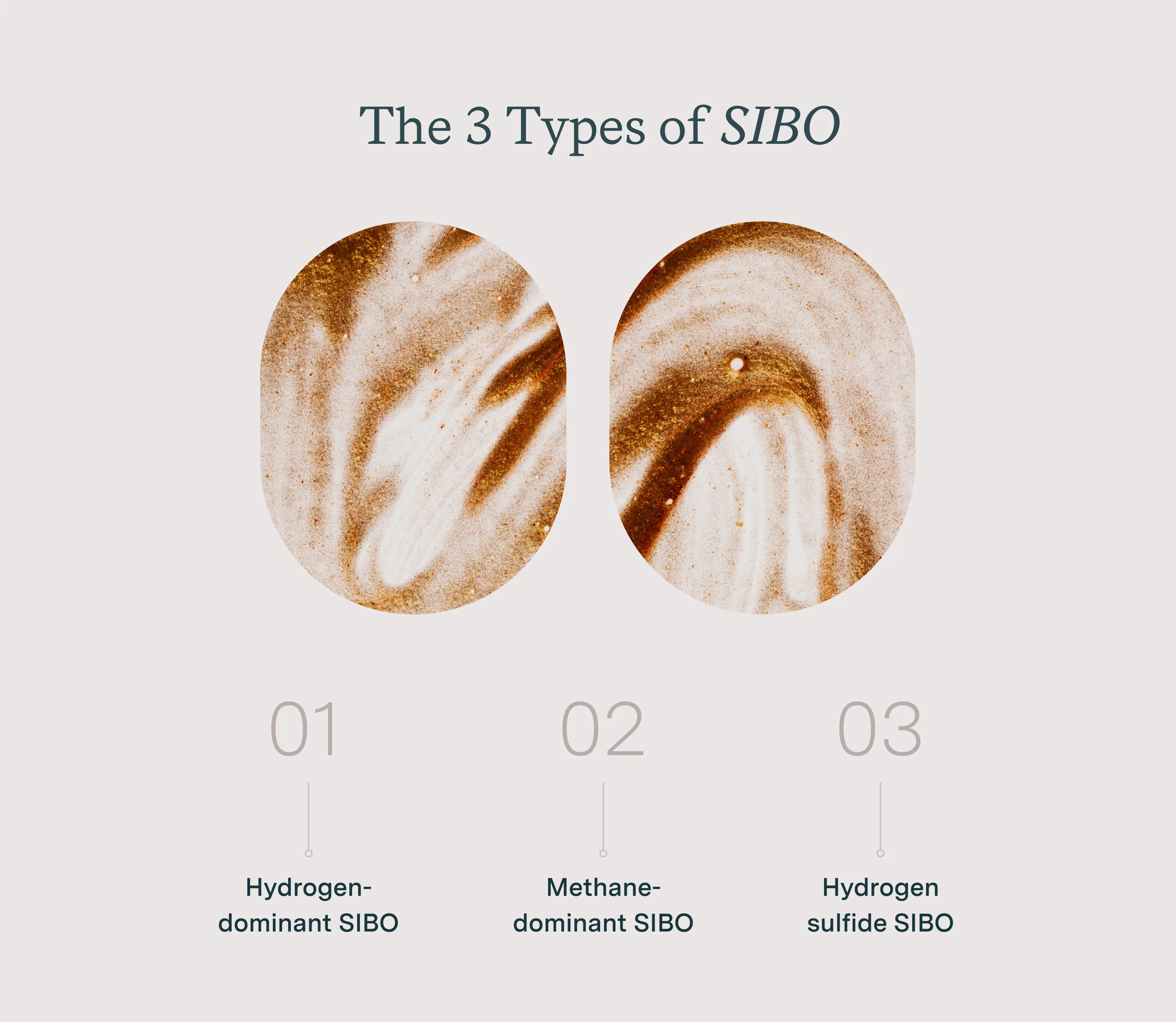 the 3 types of SIBO